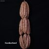 Cumberland Sausages 600x600 feature image