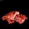 Hickory USA Pork Ribs