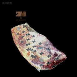 Shimo Wagyu Brisket Whole