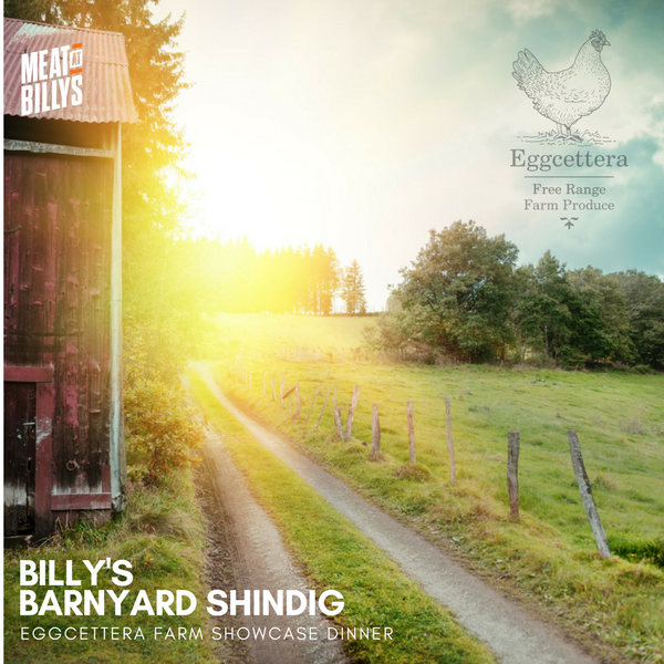 BILLYS-BARNYARD-SHINDIG-