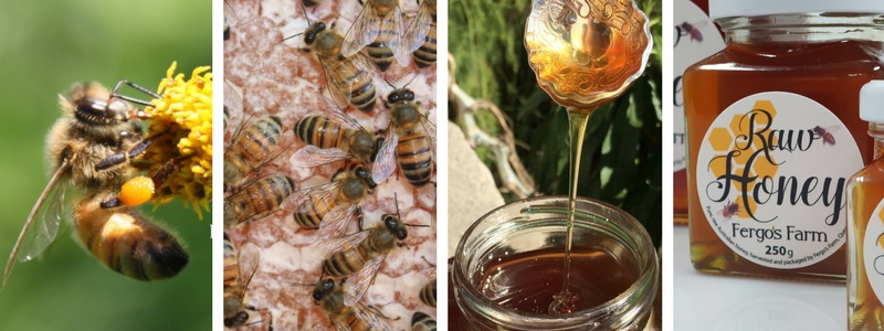 Fergo's Farm Raw Honey