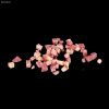 Bacon Diced
