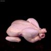 Whole Free Range Chicken