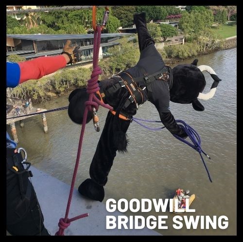 Hear and Say Bridge Swing